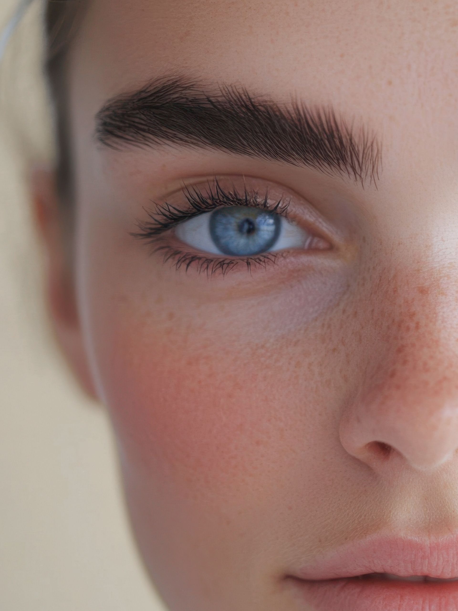 wimpern & augenbrauen